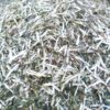 HOUTVERSNIPPERAAR (BENZINE) - Afbeelding 16