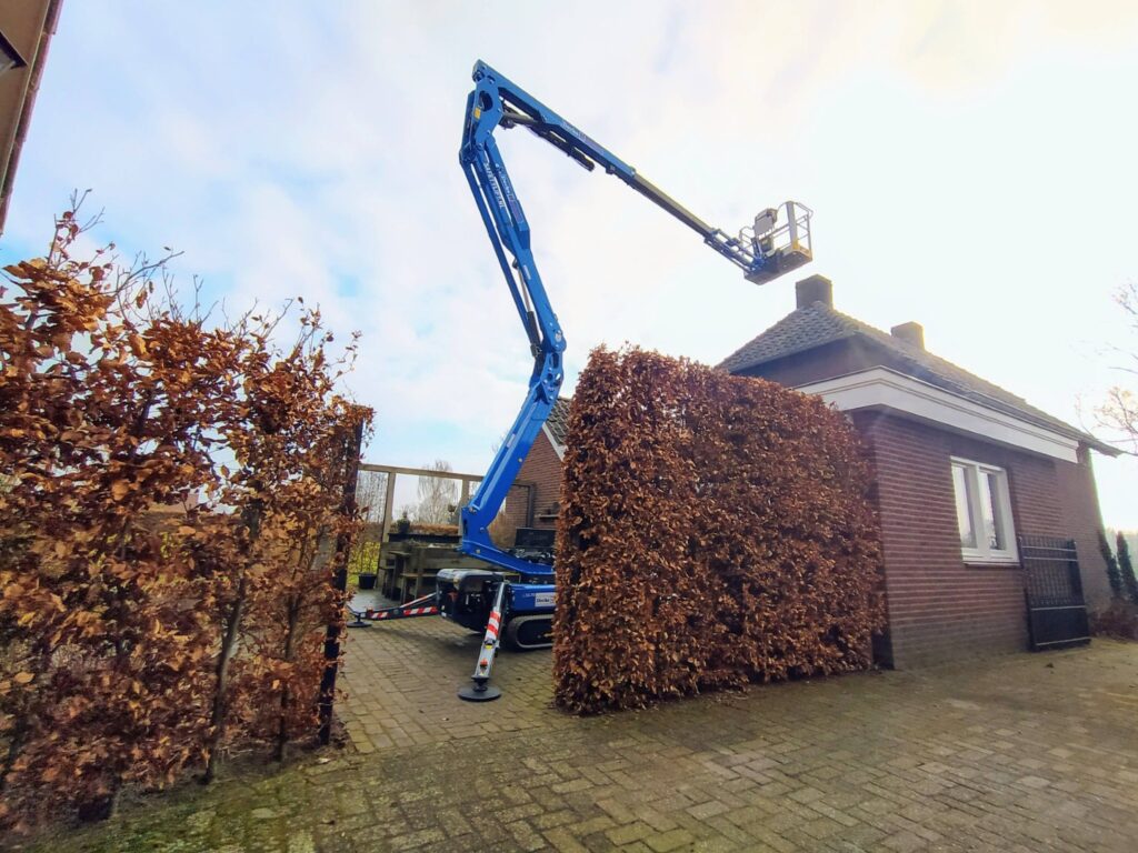 IMG_20250206_121628~3